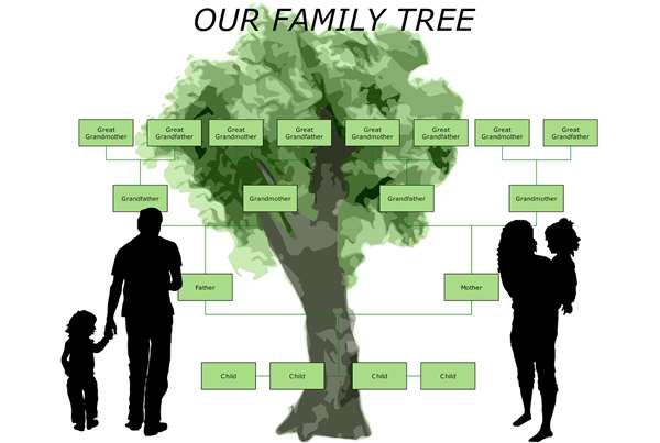 Our family tree chart